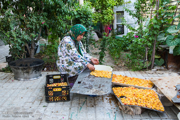 A view of daily life in rural Iran