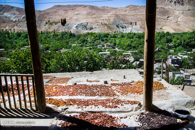 A view of daily life in rural Iran