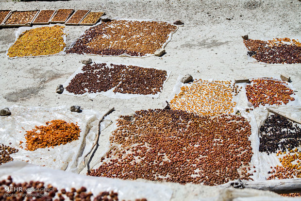 A view of daily life in rural Iran