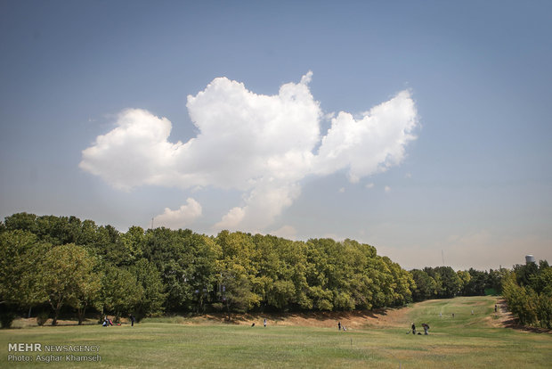 İranlı kadınlardan golf yarışması