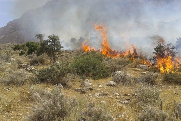 شعله ور شدن آتش در عرصه های طبیعی مازندران