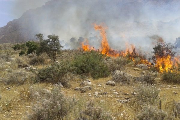  ۲ نقطه جنگلی روستای نیرس کجور دچار حریق شد