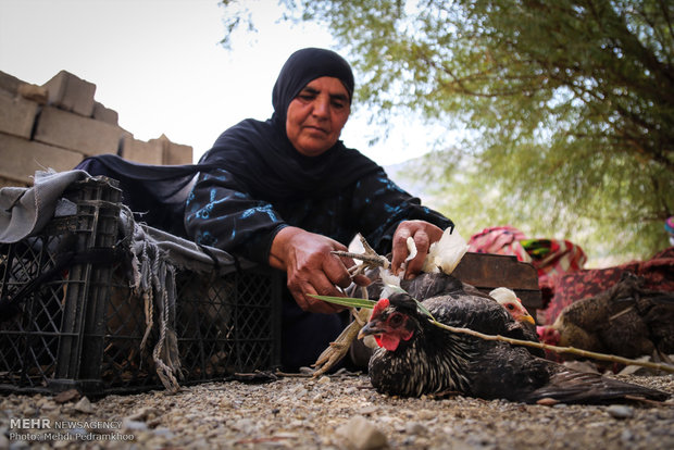 الحياة تستمر رغم الخسائر التي خلفها السيل في محافظة "فارس"