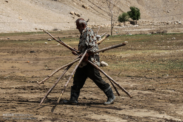 سیل در تنگه مرغزار