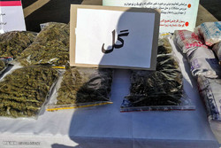 جزئیات دستگیری سارق اماکن دولتی/کشف۶ کیلوگرم «گل» از مخفیگاه متهم