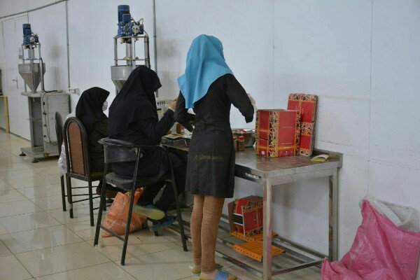 بانوان استان بوشهر سهم بالایی در اشتغال صنایع خرما و آبزیان دارند