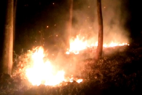 آتش سوزی منطقه حفاظت شده «شلم» ایلام مهار و خاموش شد