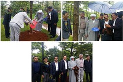 کاشت درخت در دانشگاه یونن چین به نام رئیس سازمان «سمت»