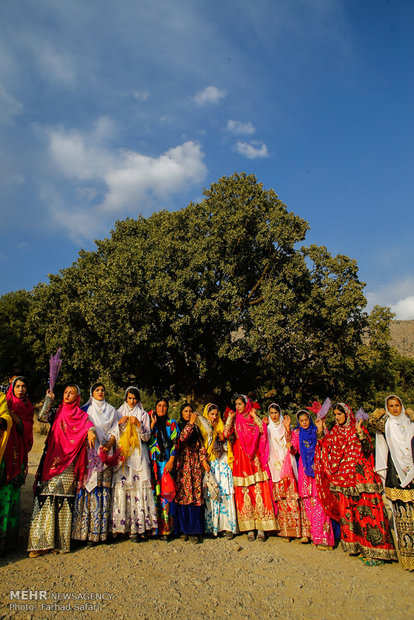 Iranian nomads’ wedding ceremony, symphony of colors 