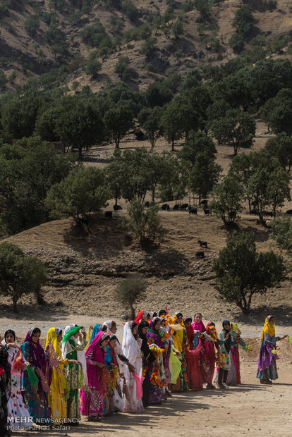 Iranian nomads’ wedding ceremony, symphony of colors 