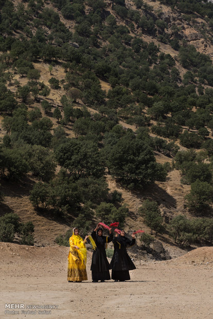 Iranian nomads’ wedding ceremony, symphony of colors 