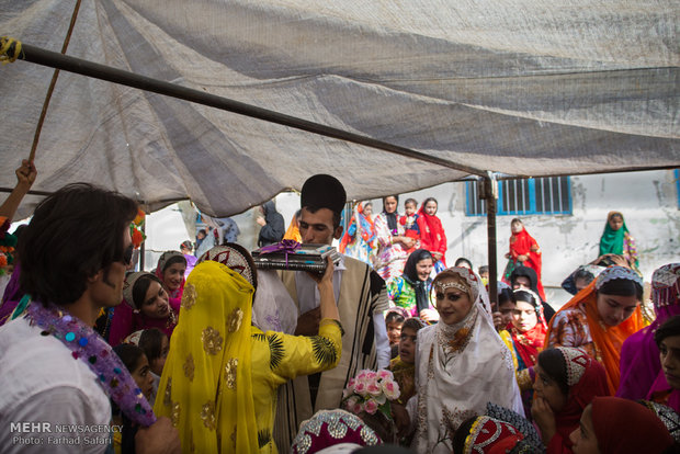 Iranian nomads’ wedding ceremony, symphony of colors 