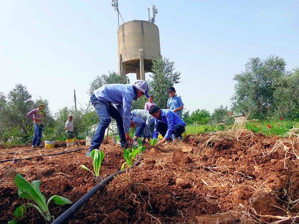 FAO promotes food education in Syrian schools