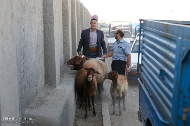 İran'da Kurban bayramının arefe günü