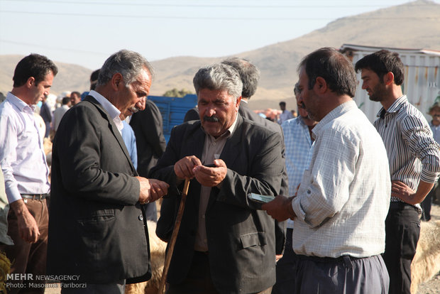 بازار خرید و فروش دام در آستانه عید قربان در شهرستان اهر