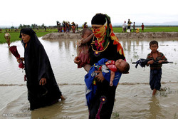فرار مسلمانان روهینگیا از نسل کشی‎
