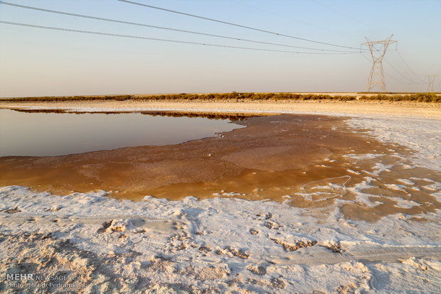  فاجعه زیست محیطی در تالاب شادگان