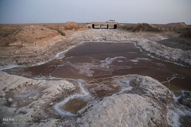  فاجعه زیست محیطی در تالاب شادگان