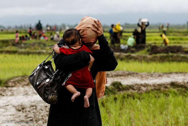 Rohingya Müslümanlarının soykırımdan kaçışı