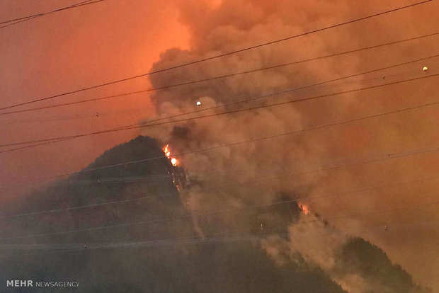 آتش سوزی گسترده در آمریکا‎