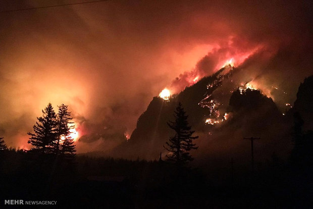 آتش سوزی گسترده در آمریکا‎