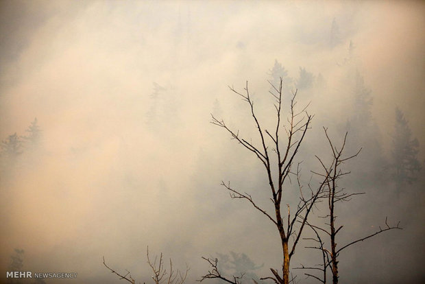 آتش سوزی گسترده در آمریکا‎