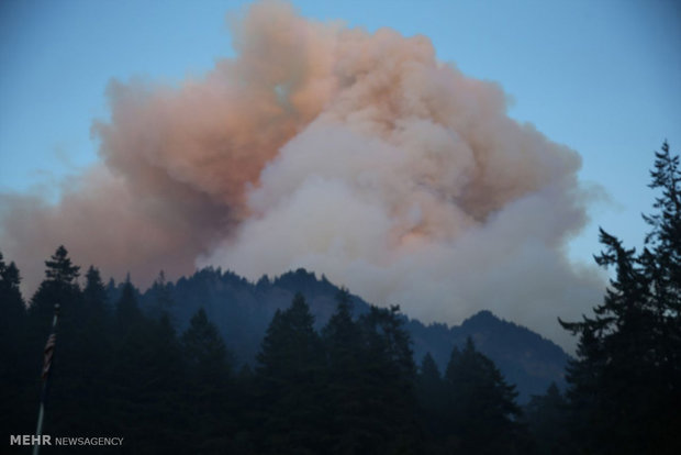 آتش سوزی گسترده در آمریکا‎