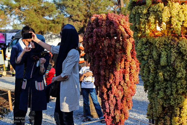 پنجمین جشنواره انگور ارومیه