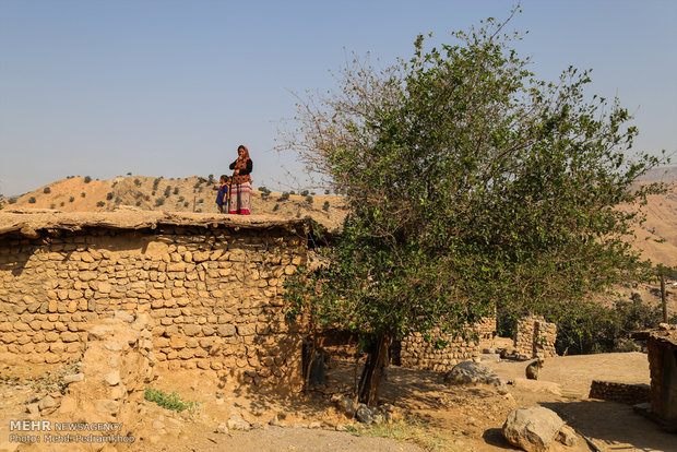 کوچ اجباری روستای میراحمد غریبی ها 