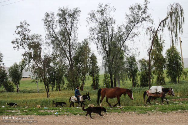 کوچ اجباری روستای میراحمد غریبی ها 