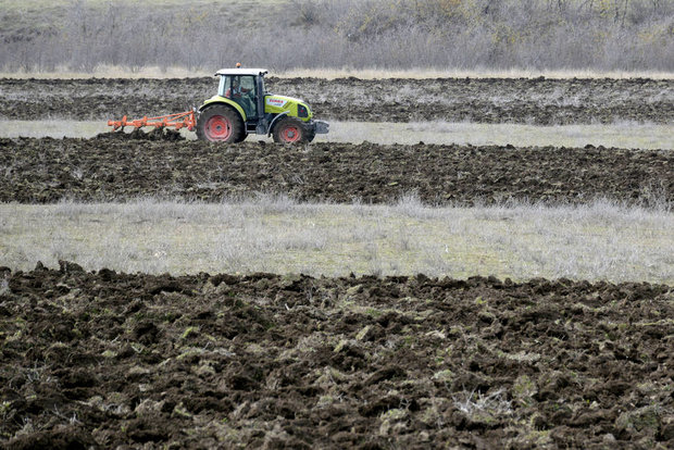 Global cereal output heading for new record