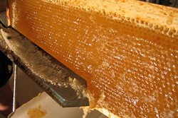 تولید بیش از ۴۶ تن عسل در شهرستان بهار