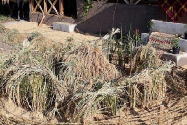 نخستین جشنواره «خرمن» در روستای واقعه دشت صومعه سرا برگزار می شود