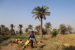 مخزن ۸ هزار مترمکعبی خنافره نقش راهبردی در تأمین آب شادگان دارد