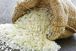 India to resume Basmati rice export to Iran