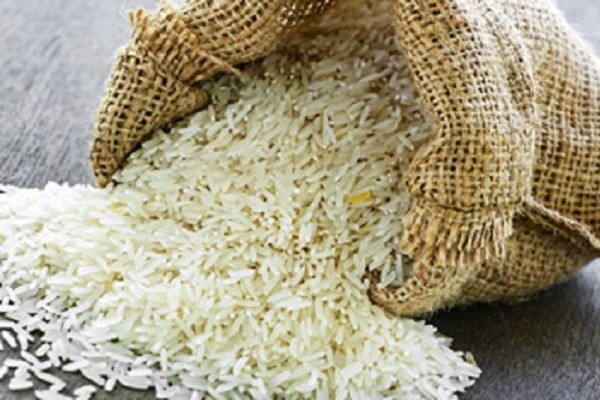 Vietnam eyes exporting rice, shrimp to Iran 