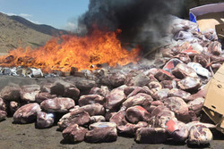 معدوم سازی ۱۰ هزار و ۸۴۶ کیلو مواد غذایی فاسد در مرودشت