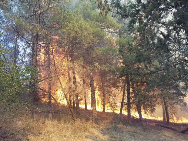 آتش سوزی جنگلهای کوه سفید لنده پس از سه روز مهار شد