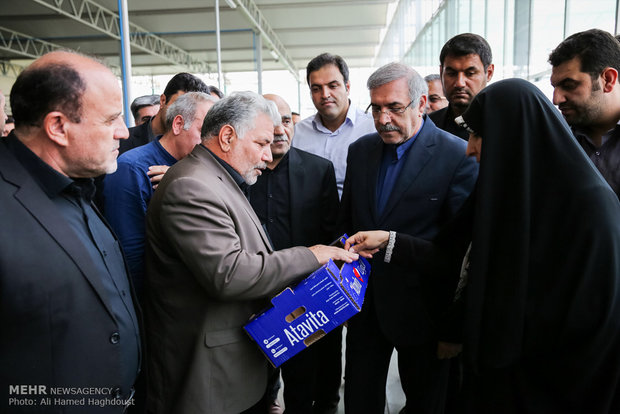 Iranian official goes to Aras free zone