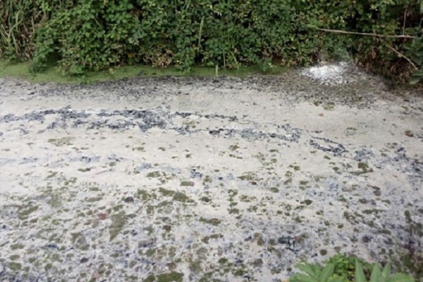 منع فعالیت یک واحدتولیدی به دلیل آلودگی محیط زیست درآستانه اشرفیه