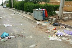 ساماندهی زباله گردها و فروشندگان ضایعات بازیافتی درسطح شهر زاهدان
