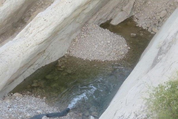 ساخت آبشخور نذر طبیعت در منطقه کوه هوای لامرد 
