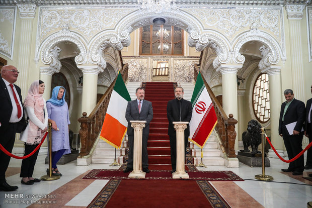 Larijani receives Irish top senator in Tehran