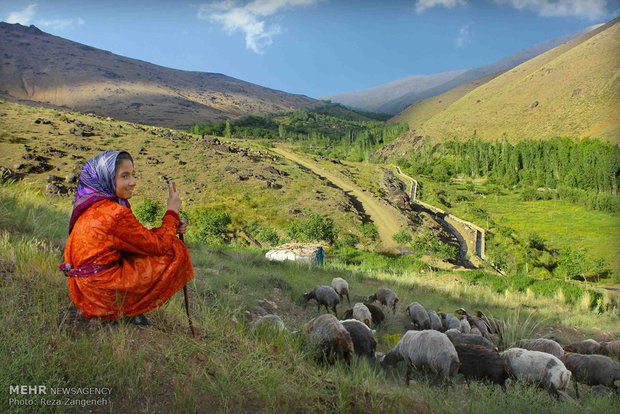 ۱۲ ایل آذربایجان غربی راهی مناطق ییلاقی شدند/زندگی با طعم طبیعت