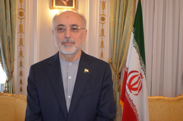 Tehran to react if JCPOA challenged