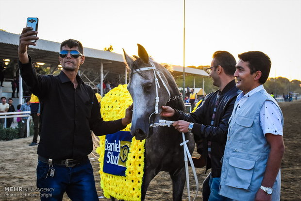 سباق الخيول بمدينة طهران