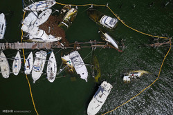 وضعیت پورتوریکو و جزایر کارائیب بعد از طوفان ماریا
