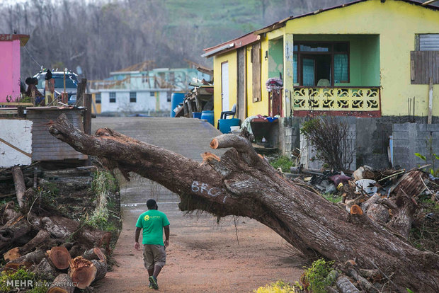 أحول أهالي بورتوريكو والكاريبي بعد أعصار ماريا 