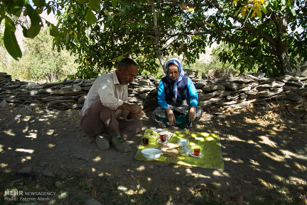 شیره انگور تحفه اراک