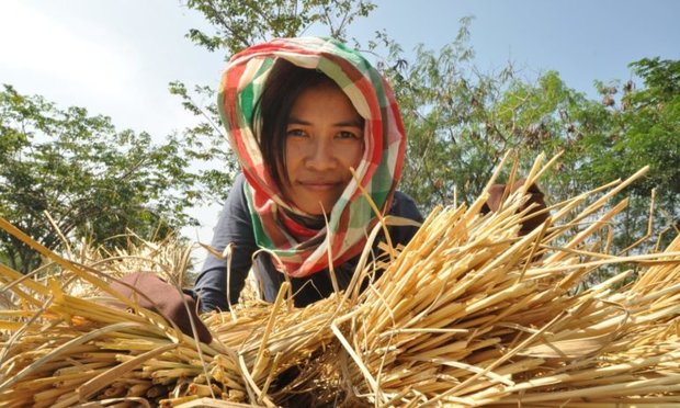 FAO highlights rural-urban connections to reduce hunger